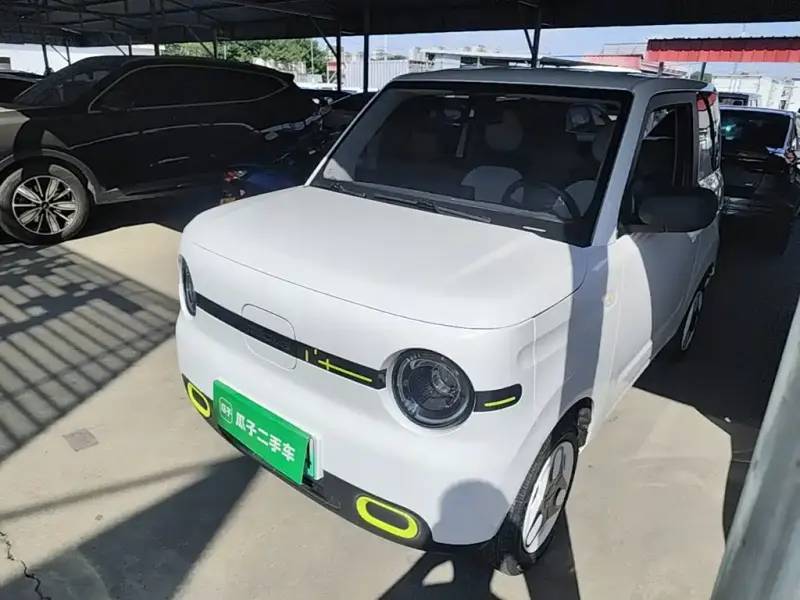 Galaxy Panda, 2025