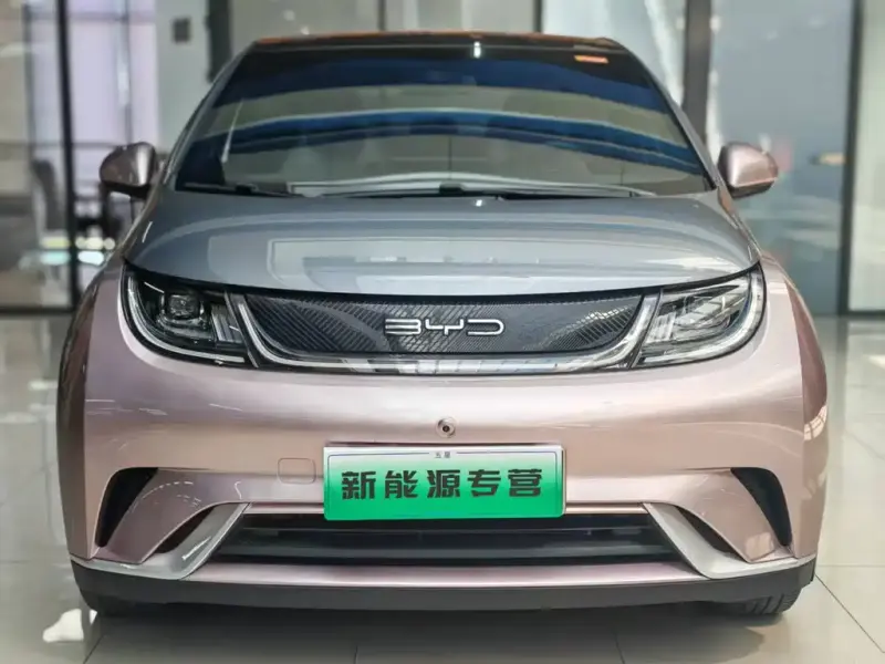 BYD Dolphin, 2022