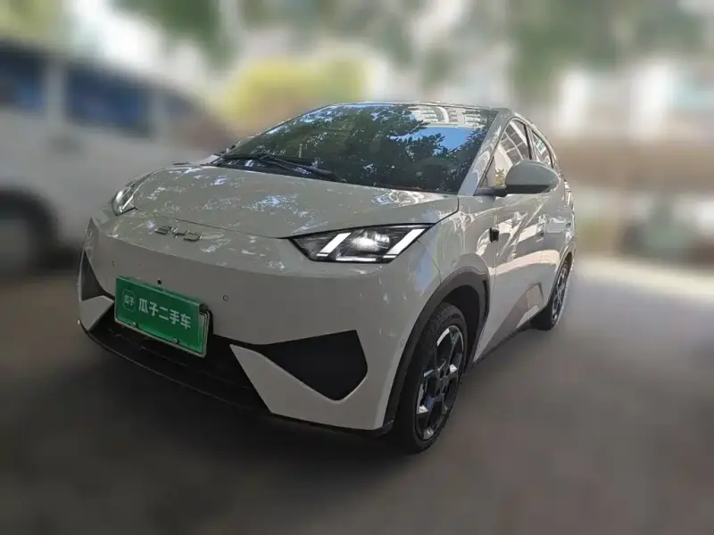 BYD Seagull, 2025