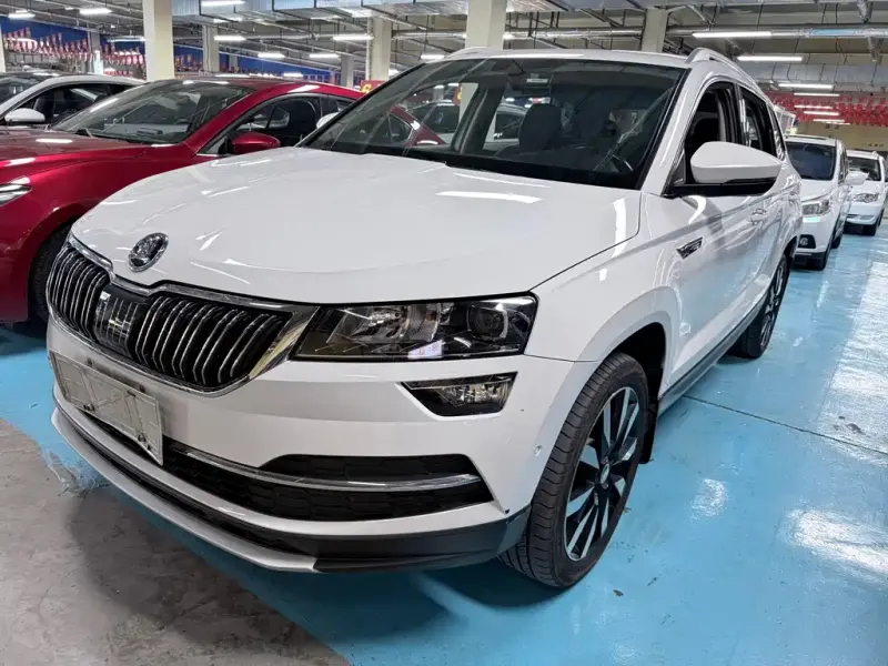 Skoda Karoq, 2020