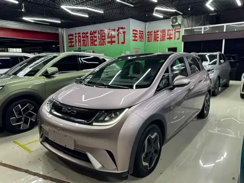 BYD Dolphin, 2022