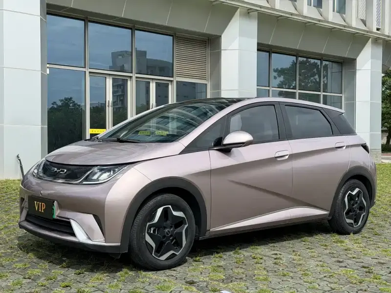 BYD Dolphin, 2022
