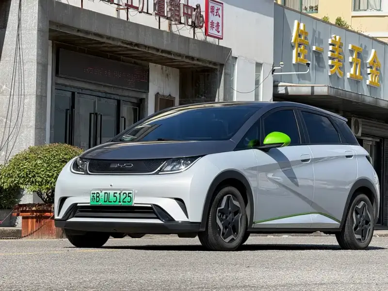 BYD Dolphin, 2022
