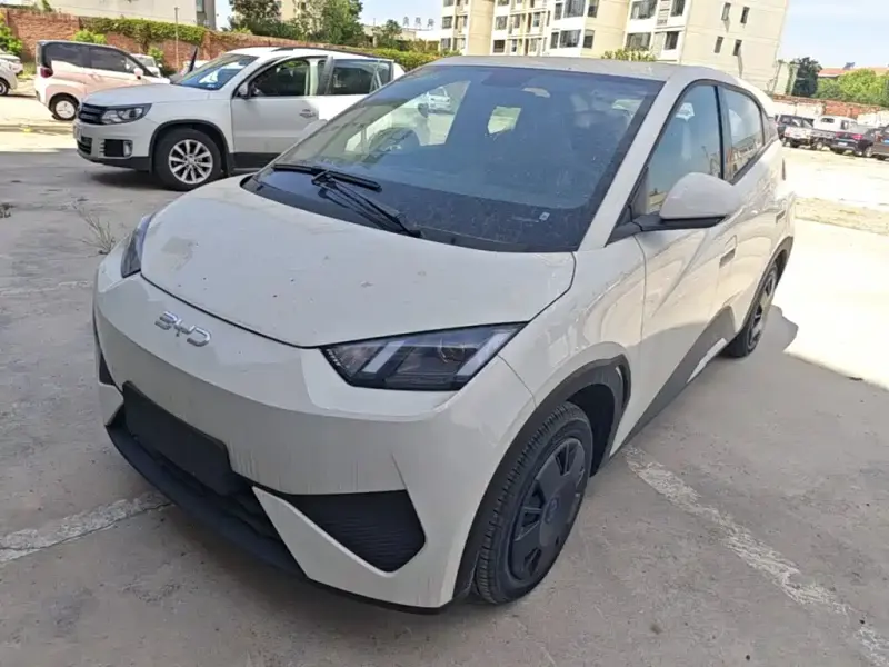BYD Seagull, 2026