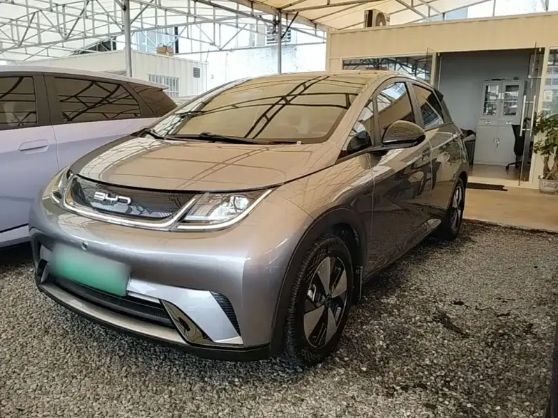 BYD Dolphin, 2023