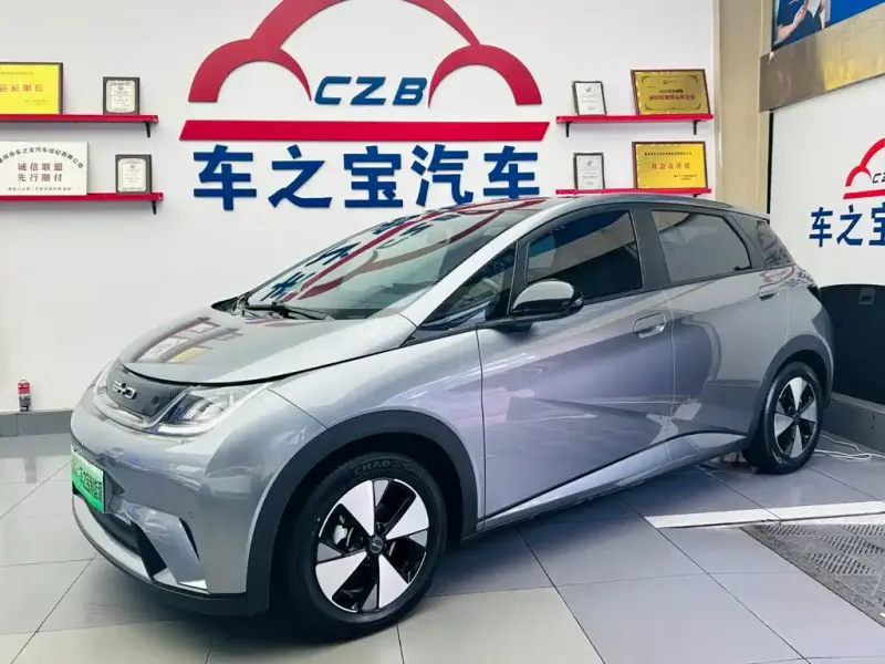 BYD Dolphin, 2023