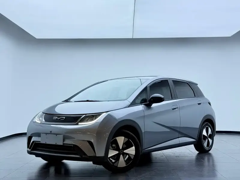 BYD Dolphin, 2024