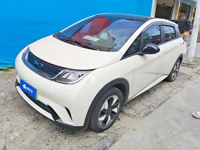 BYD Dolphin, 2024