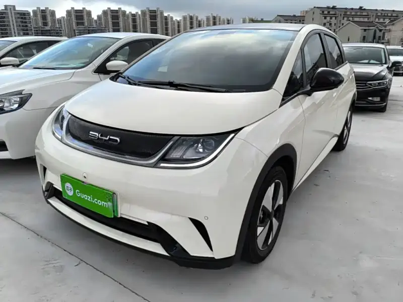 BYD Dolphin, 2024