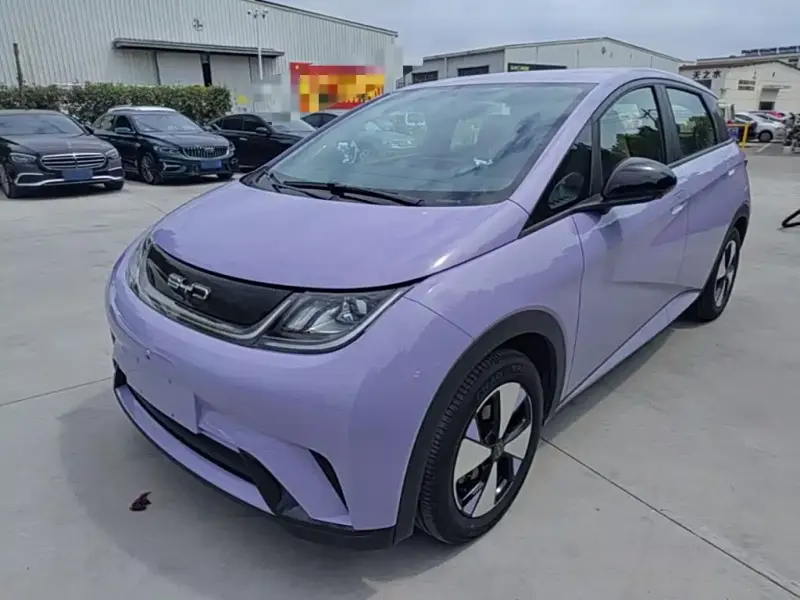 BYD Dolphin, 2024
