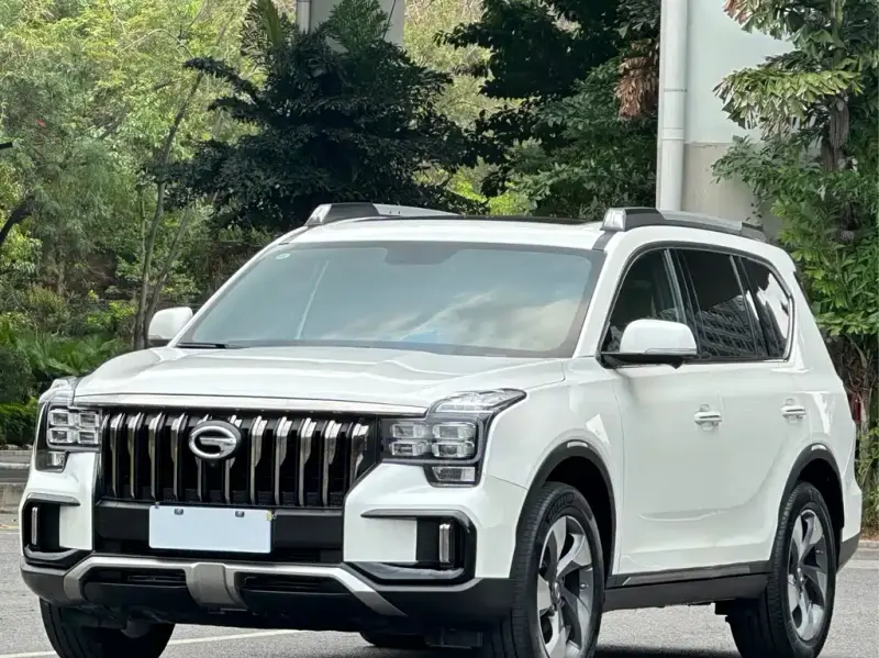 GAC Motor Trumpchi GS8, 2021
