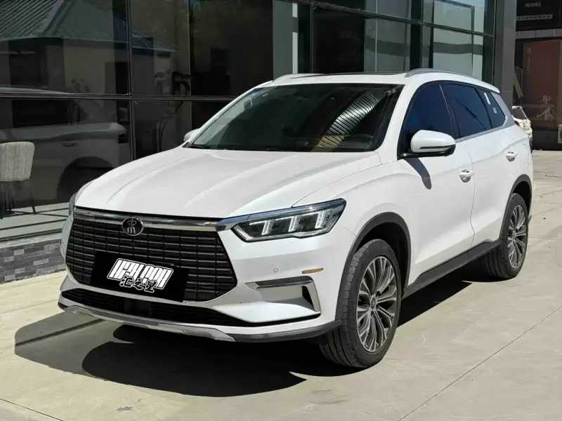 BYD Pro New Energy, 2020