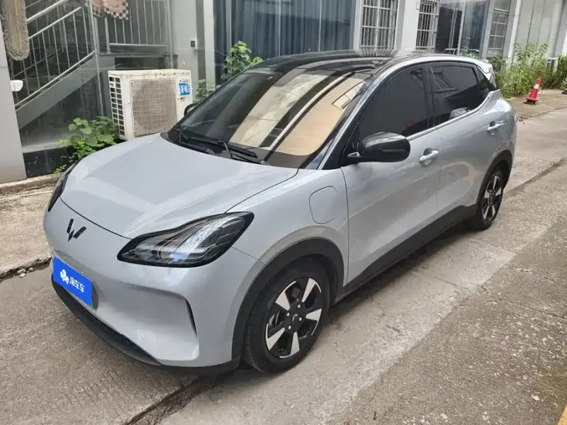 Wuling Bingo PLUS Wuling Binguo PLUS 2024 510km 5-seat Edition, 2025 — фото 1