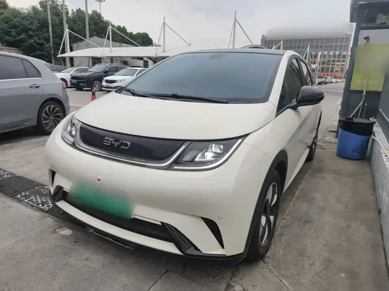 BYD Dolphin BYD Dolphin 2025 420km Fashion Edition, 2024 — фото 1