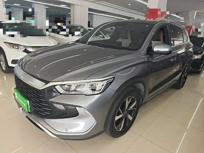 BYD Pro New Energy, 2023