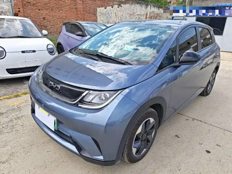 BYD Dolphin, 2025