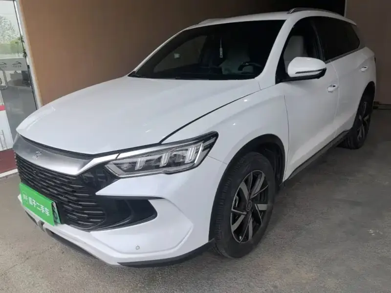 BYD Pro New Energy, 2024