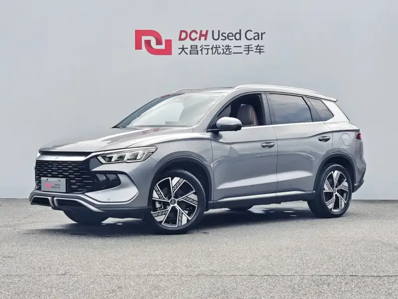 BYD Pro New Energy, 2024