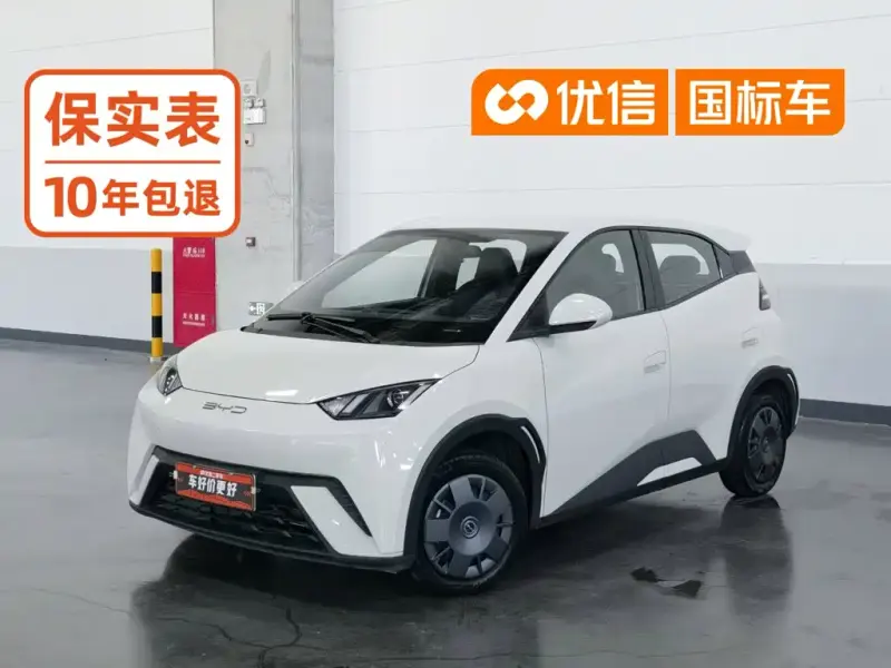 BYD Seagull, 2024