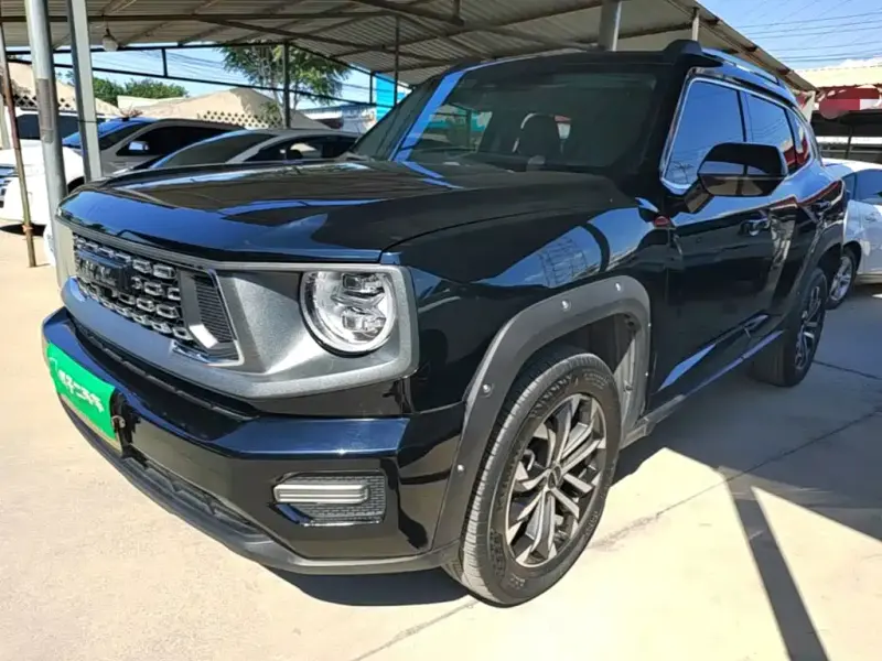 Haval Big Dog PLUS, 2024