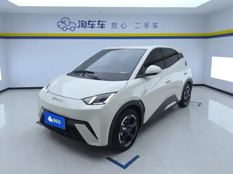 BYD Seagull, 2024