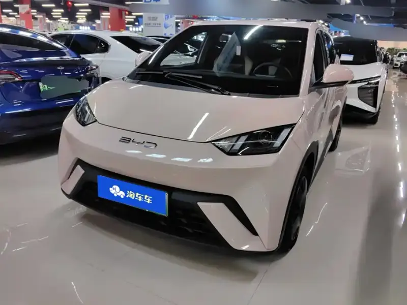 BYD Seagull, 2024