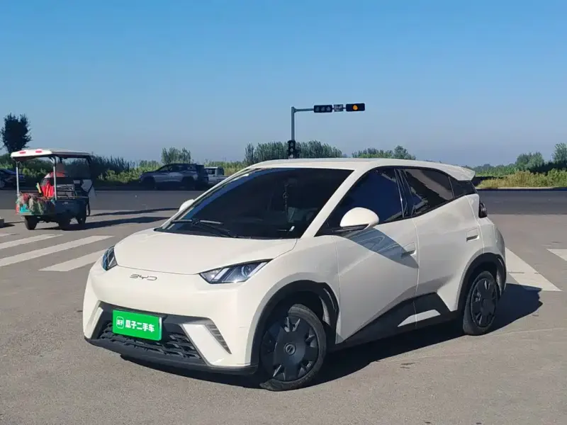 BYD Seagull, 2024
