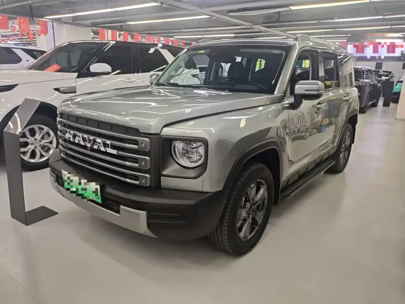 Haval Menglong New Energy, 2024