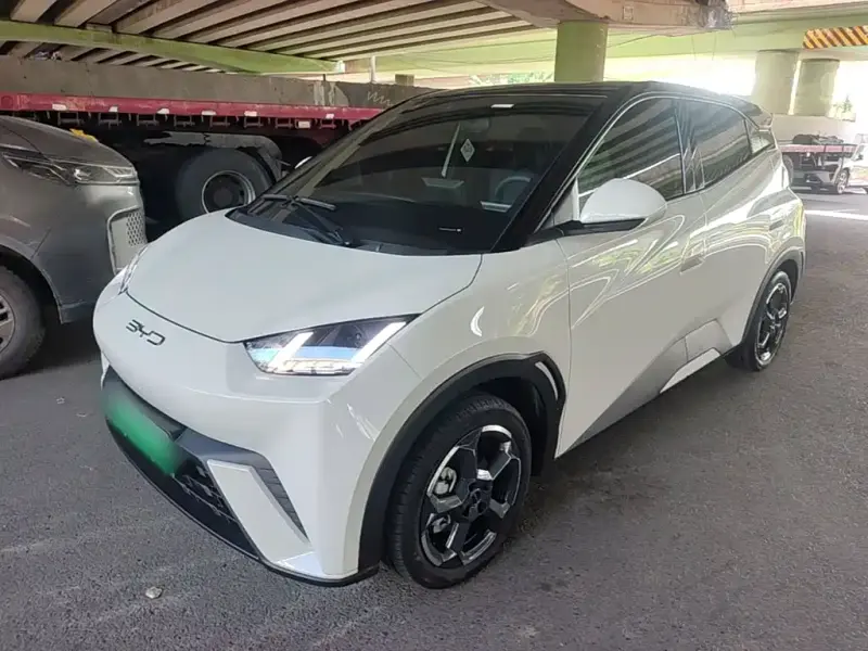 BYD Seagull, 2023