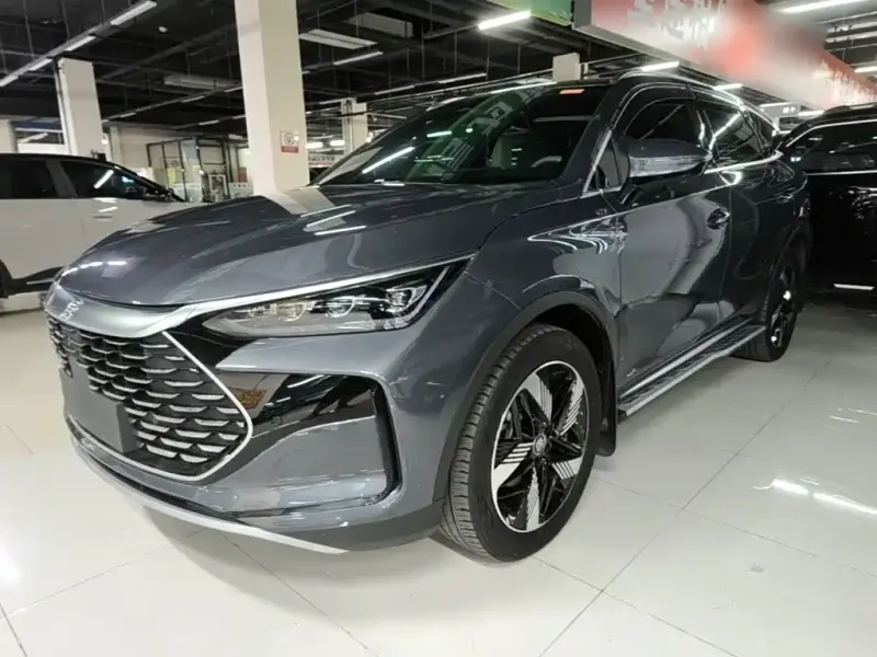 BYD Tang New Energy, 2024