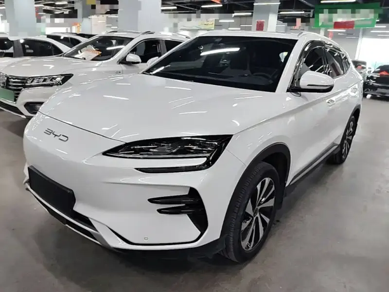 BYD PLUS New Energy, 2024