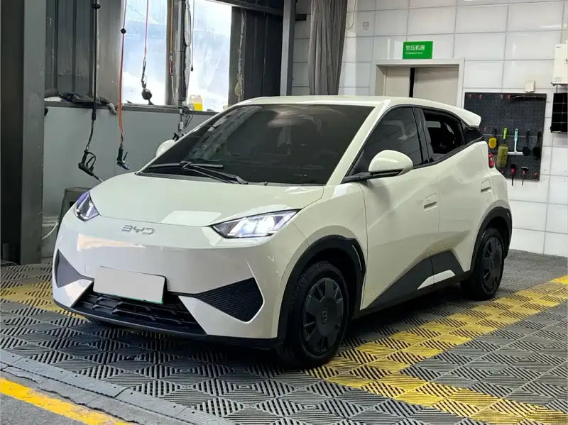 BYD Seagull, 2025