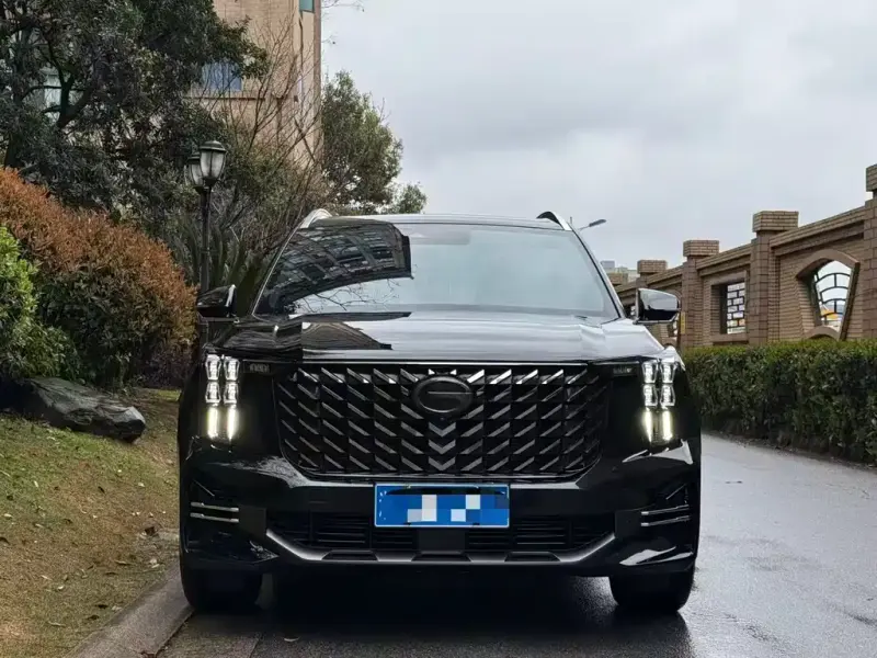 GAC Motor Trumpchi GS8, 2024