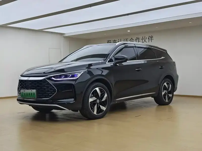 BYD Tang New Energy, 2024