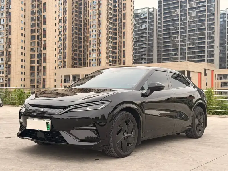 BYD L EV, 2024