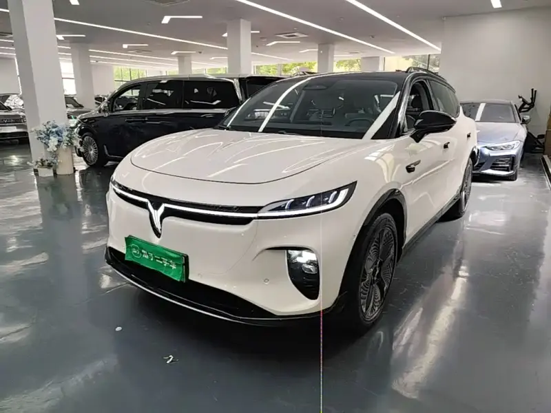 VOYAH Zhiyin, 2025