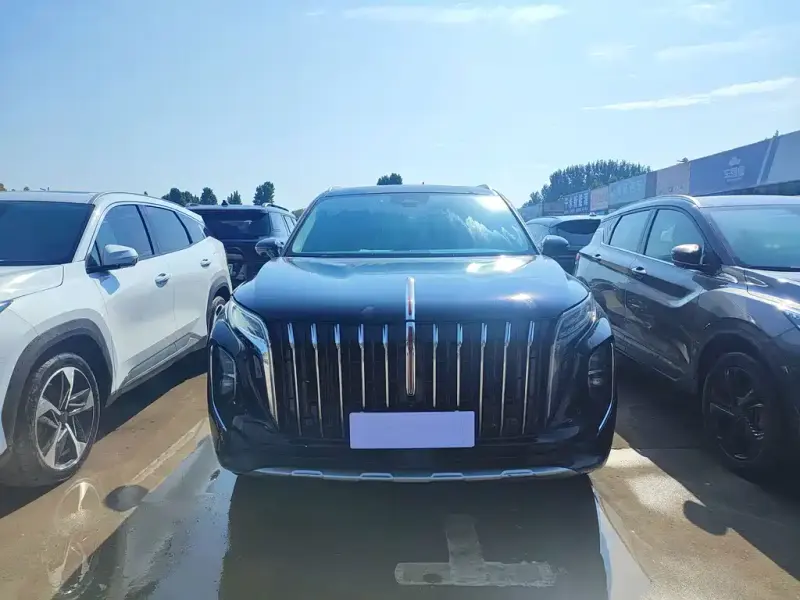 Hongqi HS7, 2024