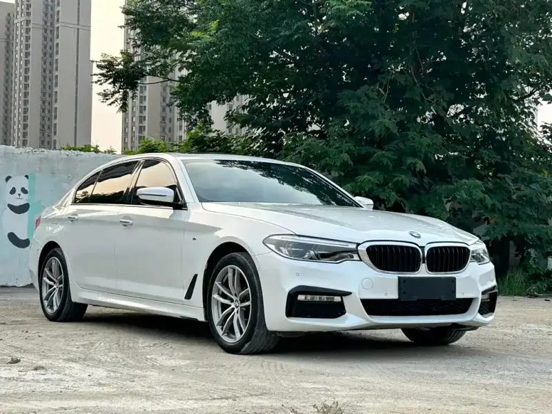 BMW 5 Series, 2019