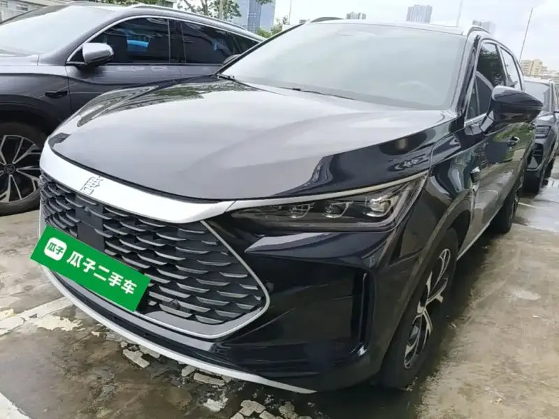 BYD Tang New Energy, 2025