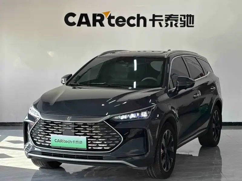 BYD Tang New Energy, 2024