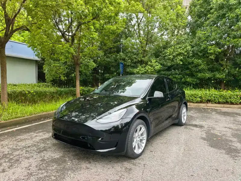 Tesla Model Y, 2022