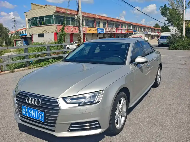 Audi A4L Audi A4L 2018 30 Anniversary Year Type 40 TFSI Progressive Type, 2018 — фото 1