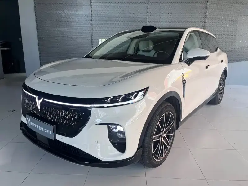 VOYAH Zhiyin, 2025