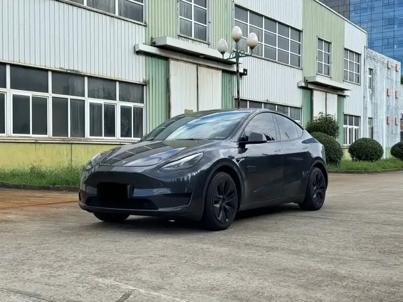 Tesla Model Y Tesla Model Y 2025 RWD Drive Dynamic Edition, 2025 — фото 1