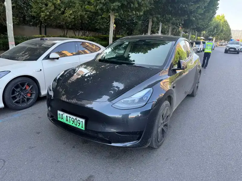 Tesla Model Y, 2024