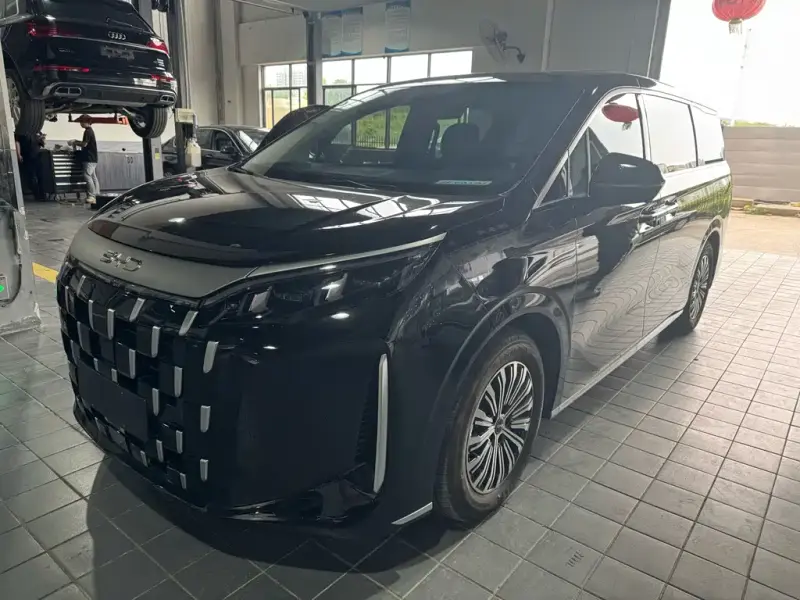 BYD M9 BYD Xia 2025 1060 Navigator Edition, 2025 — фото 1