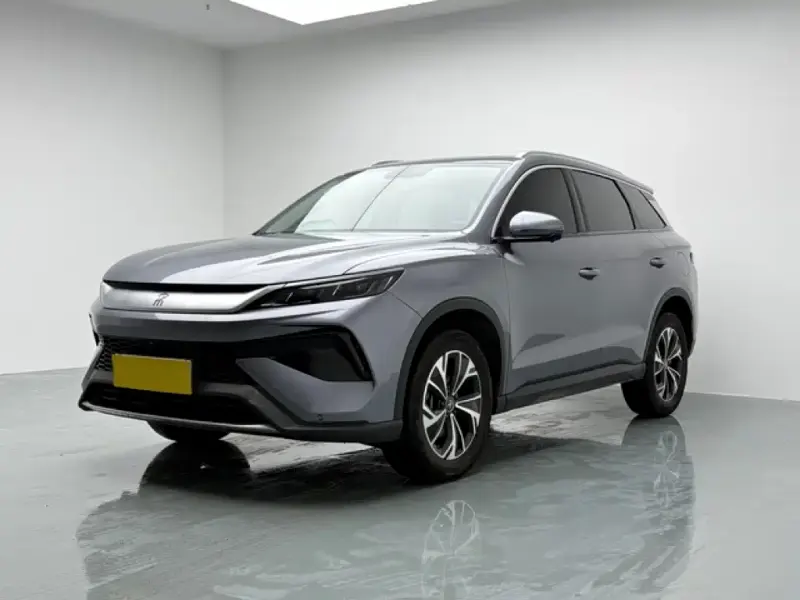 BYD Pro New Energy, 2024