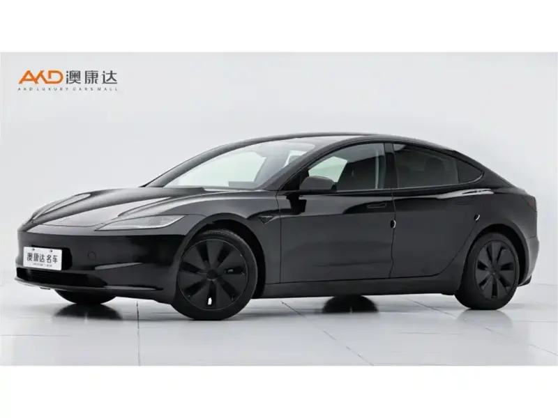Tesla Model 3, 2025