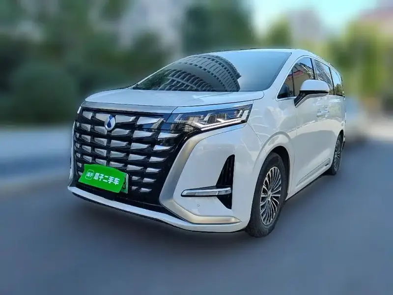 Denza D9, 2024