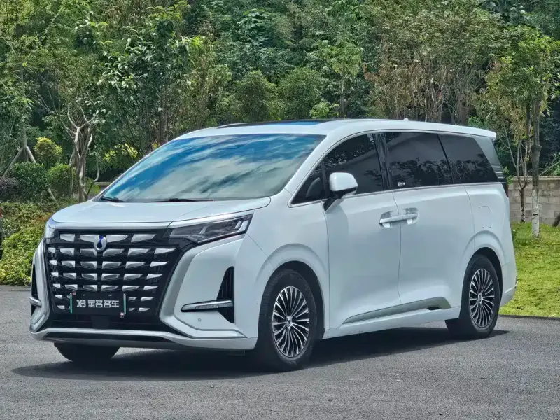 Denza D9, 2024